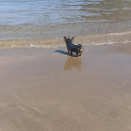 Fisherman's House Appartement