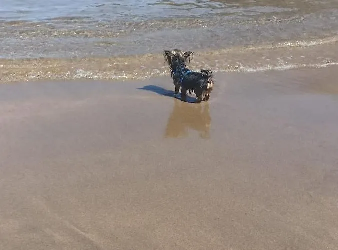 Fisherman's House Apartmán